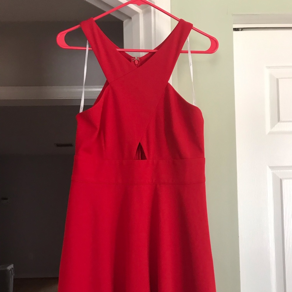 Red Lulus skater dress